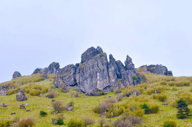 五一小长假好去处，竹山武陵峡、大九湖、神农顶环线游
