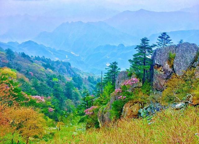 五一小长假好去处，竹山武陵峡、大九湖、神农顶环线游