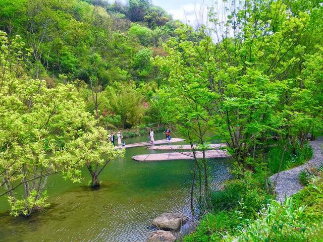 五一小长假好去处，竹山武陵峡、大九湖、神农顶环线游