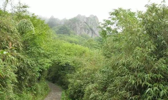 中国最神秘的景区神龙架，传说野人出没的地方