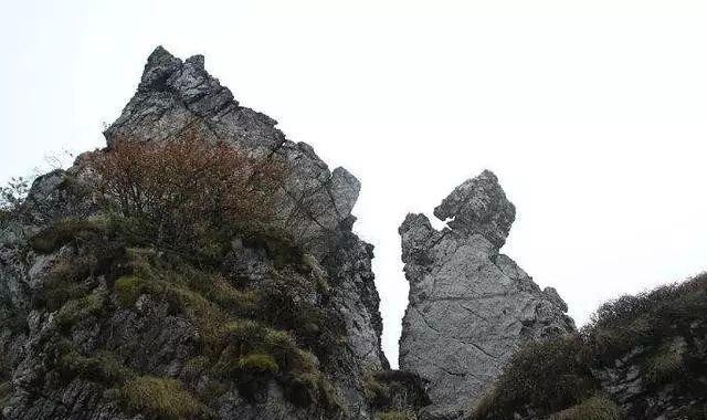 中国最神秘的景区神龙架，传说野人出没的地方