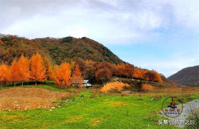 湖北神龙架的“世外桃源”，如仙境般的大九湖美景，风光旖旎