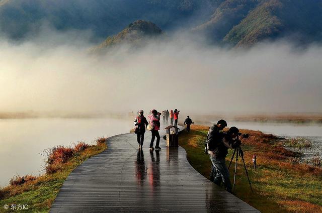 湖北神龙架5A级自然风景区、人与自然和谐共存的自然生态旅游区！