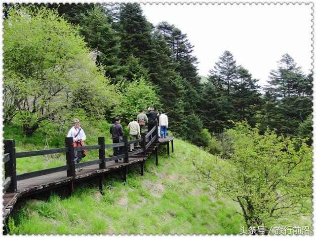 神龙架成为中国的世界遗产啦