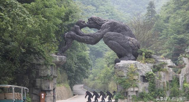 神龙架成为中国的世界遗产啦