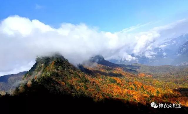 醉了，醉了！神龙架，您真的会撩人呀！（美图美文欣赏）