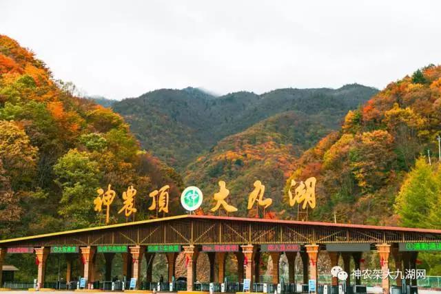 醉了，醉了！神龙架，您真的会撩人呀！（美图美文欣赏）