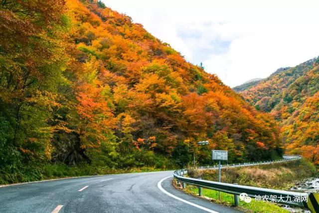 醉了，醉了！神龙架，您真的会撩人呀！（美图美文欣赏）