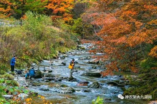 醉了，醉了！神龙架，您真的会撩人呀！（美图美文欣赏）