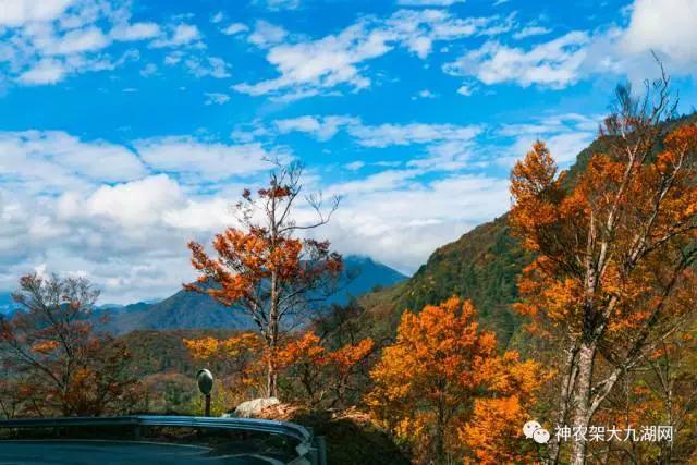 醉了，醉了！神龙架，您真的会撩人呀！（美图美文欣赏）