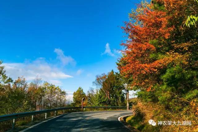 醉了，醉了！神龙架，您真的会撩人呀！（美图美文欣赏）