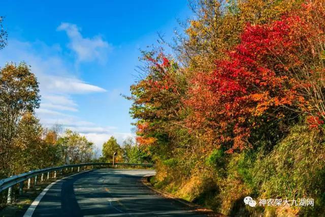 醉了，醉了！神龙架，您真的会撩人呀！（美图美文欣赏）