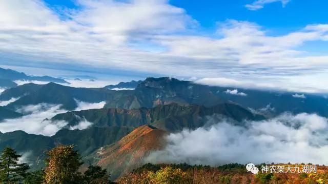 醉了，醉了！神龙架，您真的会撩人呀！（美图美文欣赏）