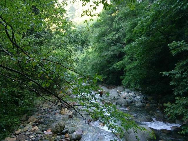 【传说游神龙架】之官门山、神农坛、天生桥、神农顶