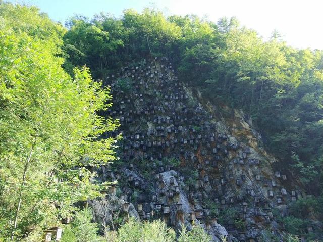 【传说游神龙架】之官门山、神农坛、天生桥、神农顶