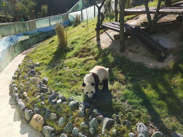 【传说游神龙架】之官门山、神农坛、天生桥、神农顶