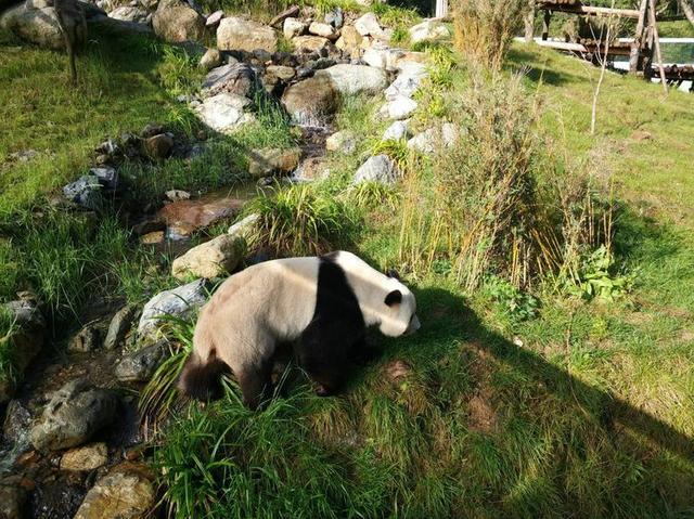 【传说游神龙架】之官门山、神农坛、天生桥、神农顶