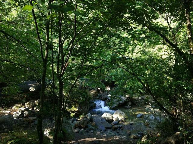 【传说游神龙架】之官门山、神农坛、天生桥、神农顶