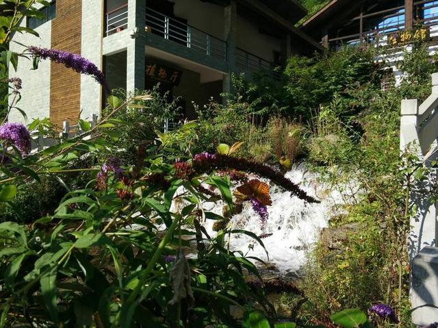 【传说游神龙架】之官门山、神农坛、天生桥、神农顶