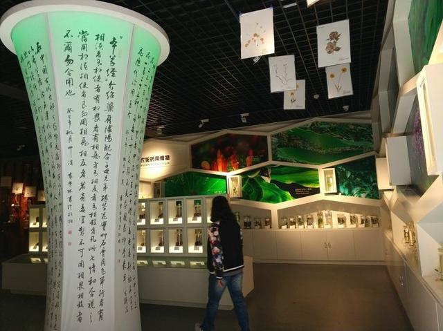 【传说游神龙架】之官门山、神农坛、天生桥、神农顶