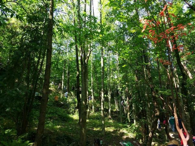 【传说游神龙架】之官门山、神农坛、天生桥、神农顶