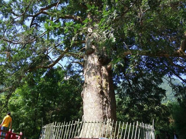 【传说游神龙架】之官门山、神农坛、天生桥、神农顶