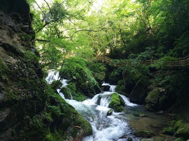 【传说游神龙架】之官门山、神农坛、天生桥、神农顶