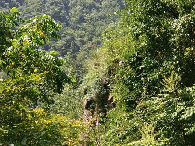 【传说游神龙架】之官门山、神农坛、天生桥、神农顶