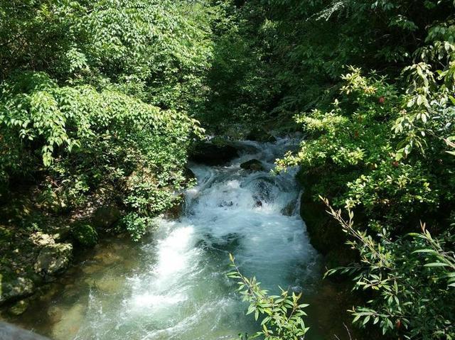 【传说游神龙架】之官门山、神农坛、天生桥、神农顶