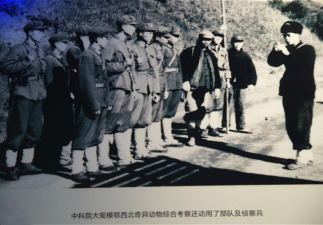 神农架到底有没有野人？40多年来，有谁真正见到了野人？