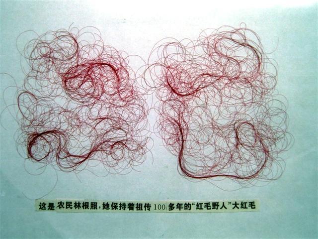 神农架到底有没有野人？40多年来，有谁真正见到了野人？