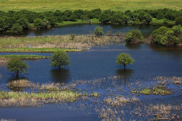 骑行大九湖，你会不会美到哭？