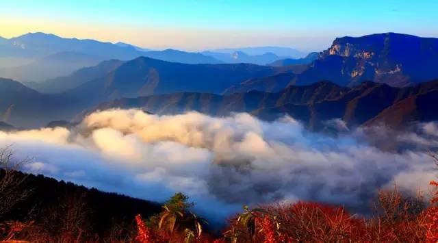 神农架大九湖，入了时光画卷，沉醉不知归处