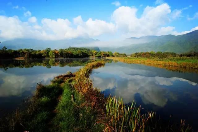 神农架大九湖，入了时光画卷，沉醉不知归处