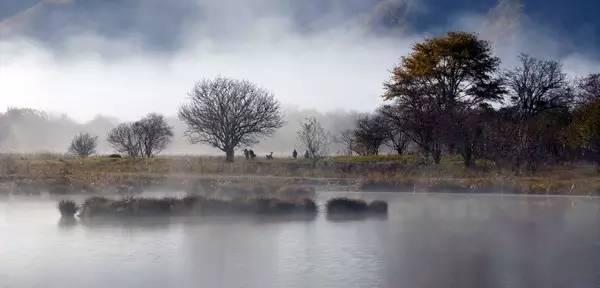 神农架大九湖，入了时光画卷，沉醉不知归处