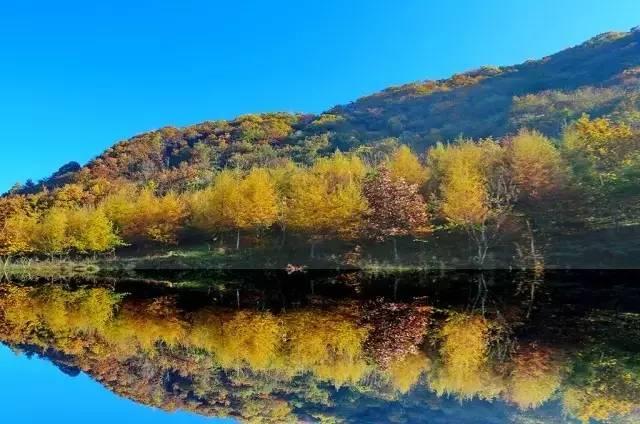 神农架大九湖，入了时光画卷，沉醉不知归处