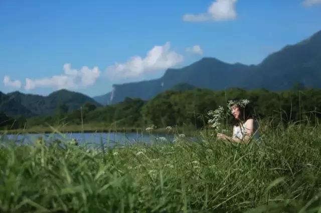 宁静致远，湖北“呼伦贝尔”—大九湖