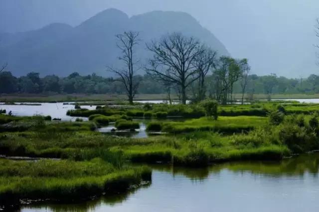 宁静致远，湖北“呼伦贝尔”—大九湖