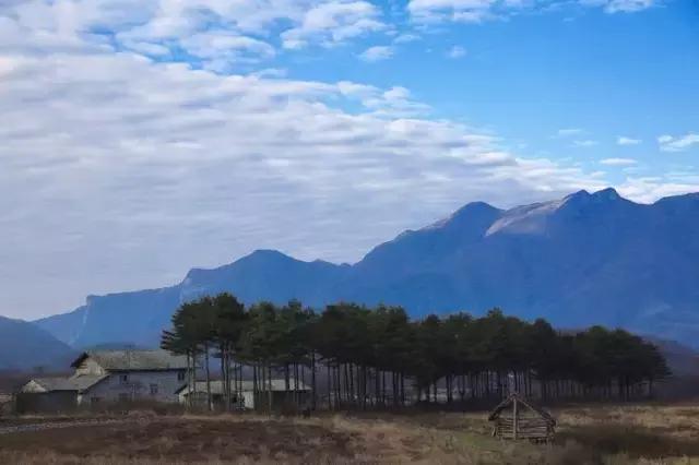 宁静致远，湖北“呼伦贝尔”—大九湖