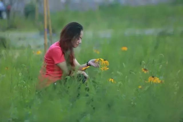 宁静致远，湖北“呼伦贝尔”—大九湖