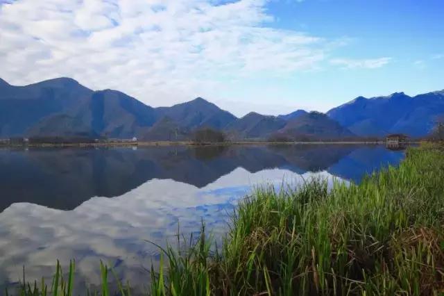 宁静致远，湖北“呼伦贝尔”—大九湖