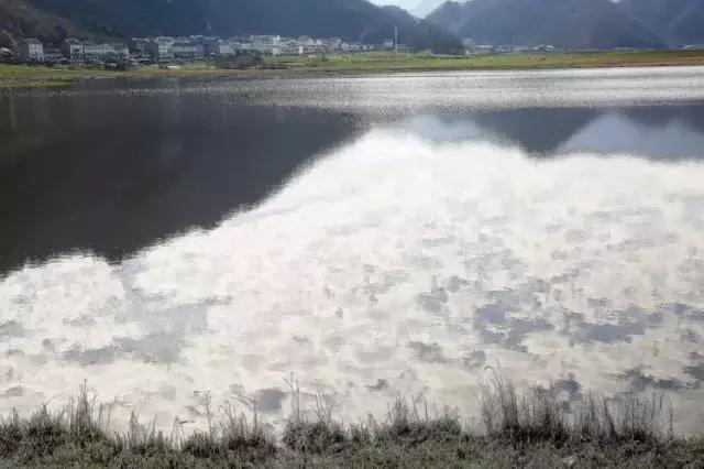 宁静致远，湖北“呼伦贝尔”—大九湖