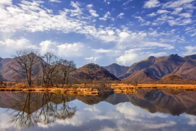 宁静致远，湖北“呼伦贝尔”—大九湖