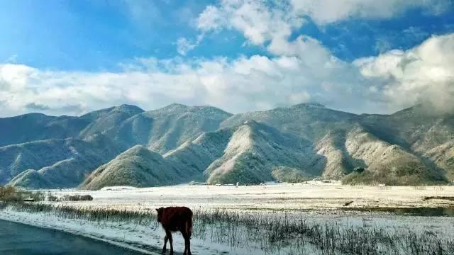 能够媲美瑞士冬景的，全湖北只有大九湖！