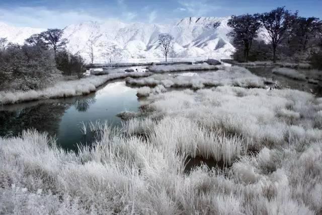 能够媲美瑞士冬景的，全湖北只有大九湖！