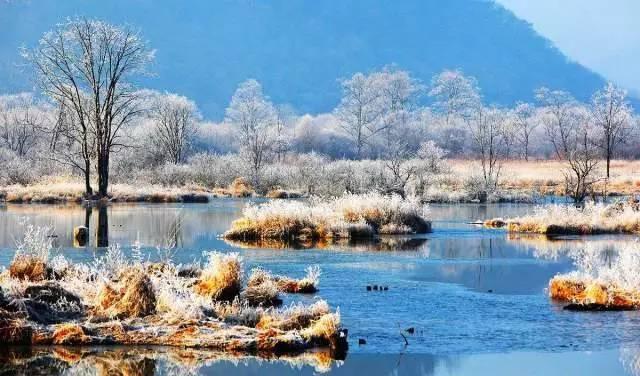 能够媲美瑞士冬景的，全湖北只有大九湖！