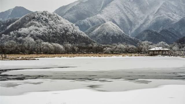 能够媲美瑞士冬景的，全湖北只有大九湖！