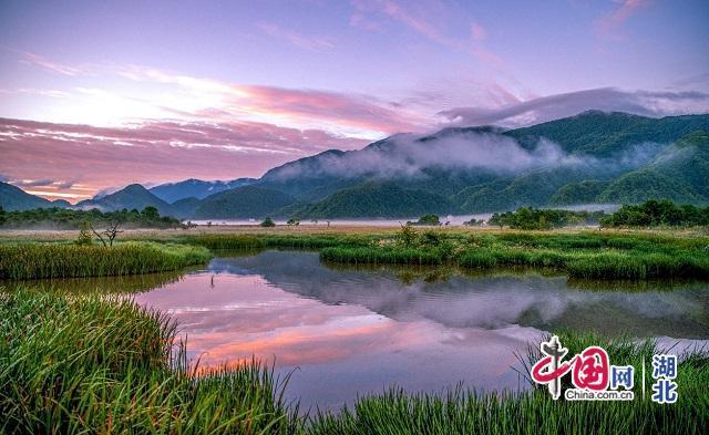 大九湖之变 湖北神农架舒展生态文明美丽画卷