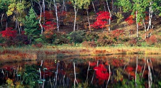 航拍湖北神农架大九湖，这里被称世外桃源人间仙境