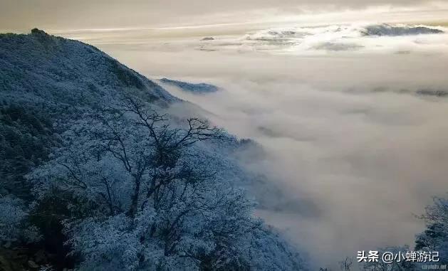 登高远眺祈福来年，神农架-神农顶“原始、生态、神奇、神秘”